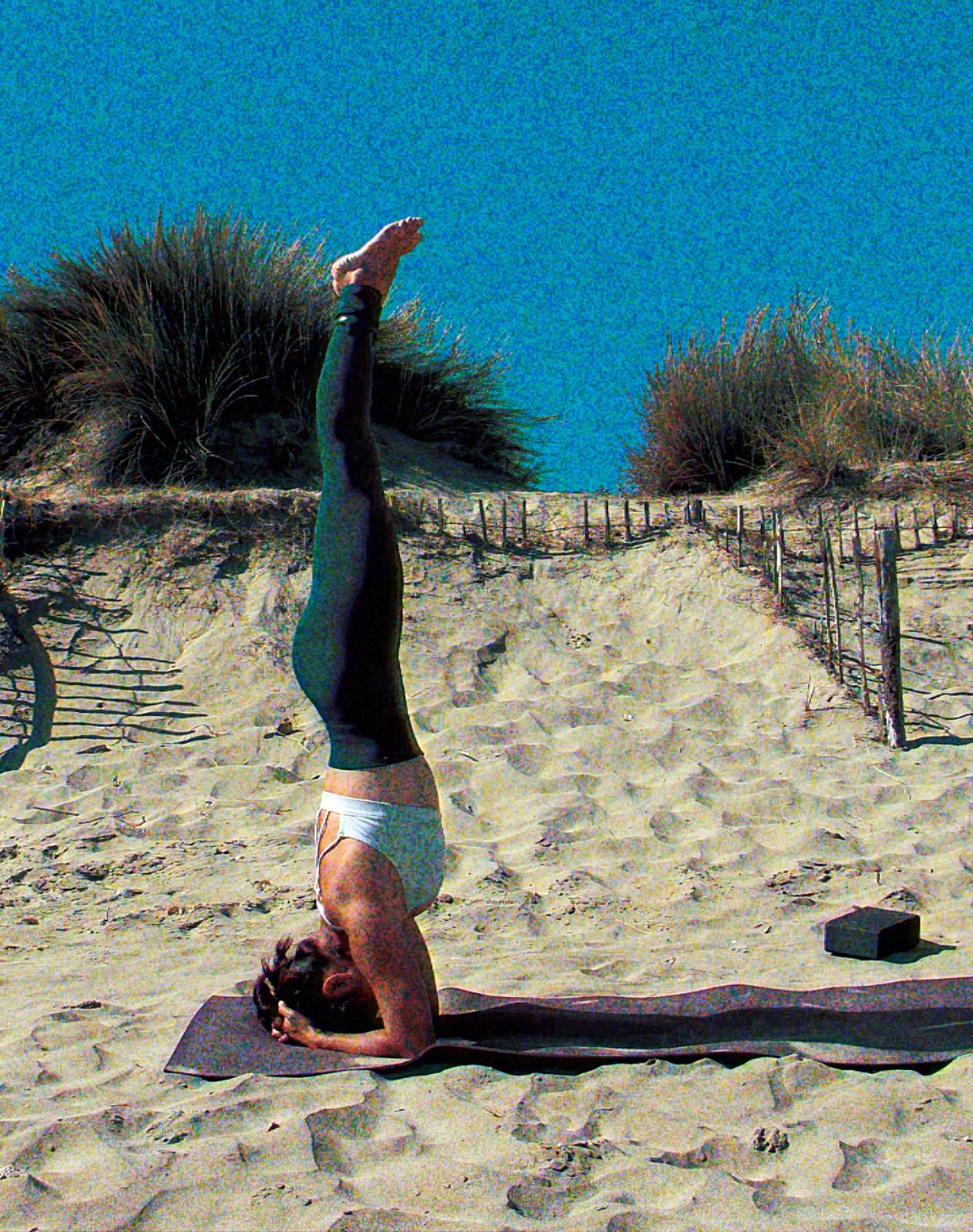 Vinyasa, Ashtanga Yoga, Vinyasa Krama & Flow Versailles_Shala Omm
